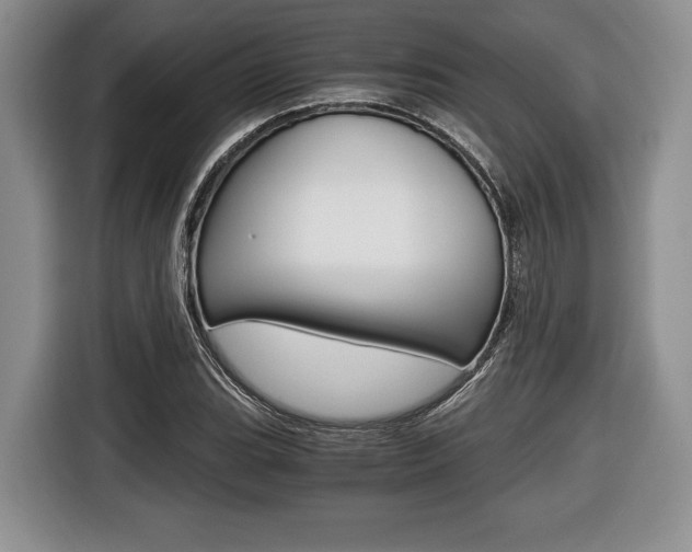 X0000116441119200912081347