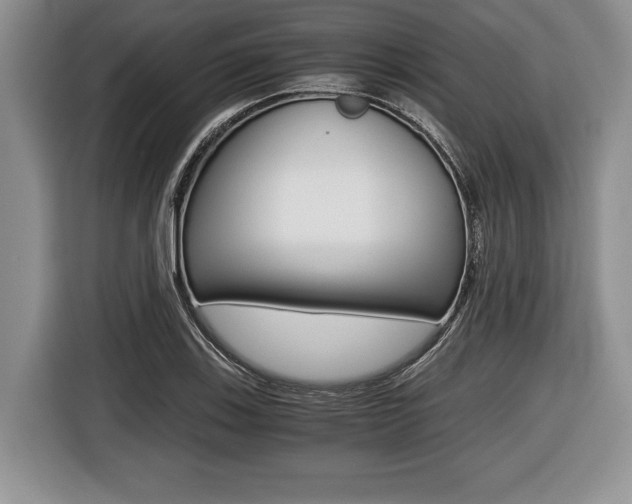 X0000116441123200912081347