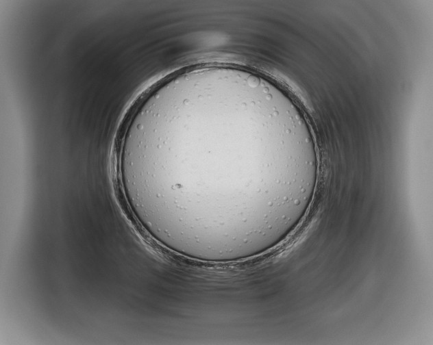 X0000116441125200912081347