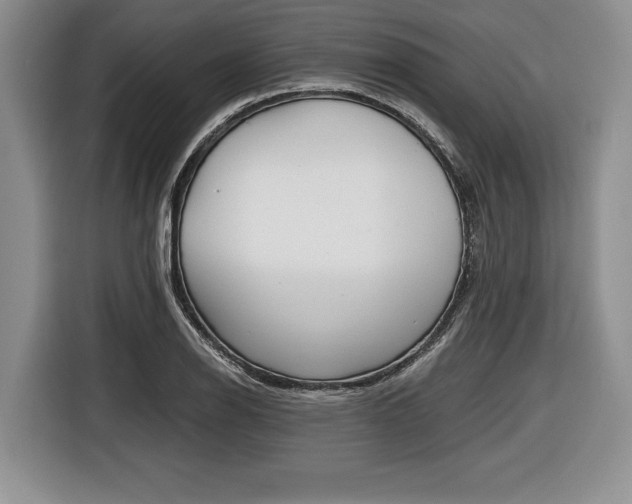 X0000116441126200912081347