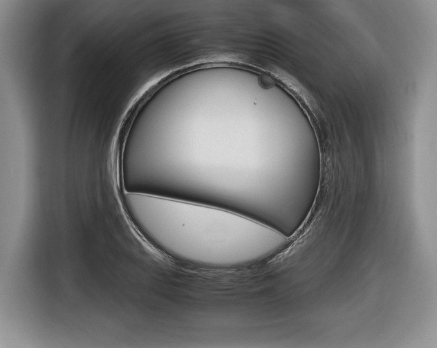 X0000116441127200912081347