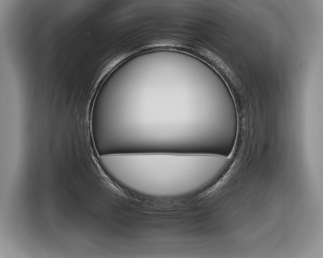 X0000116441129200912081347