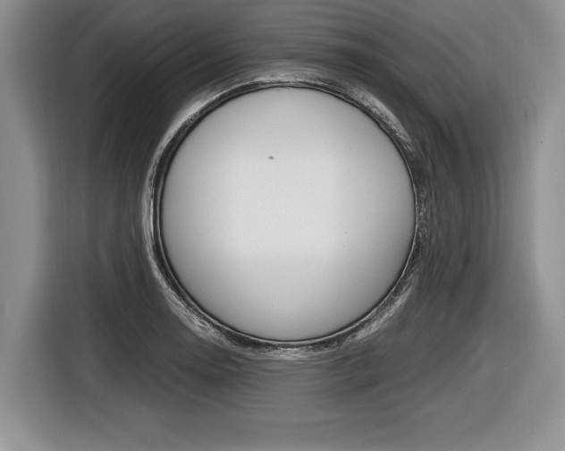 X0000116441130200912081347