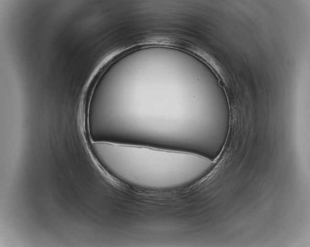 X0000116441131200912081347