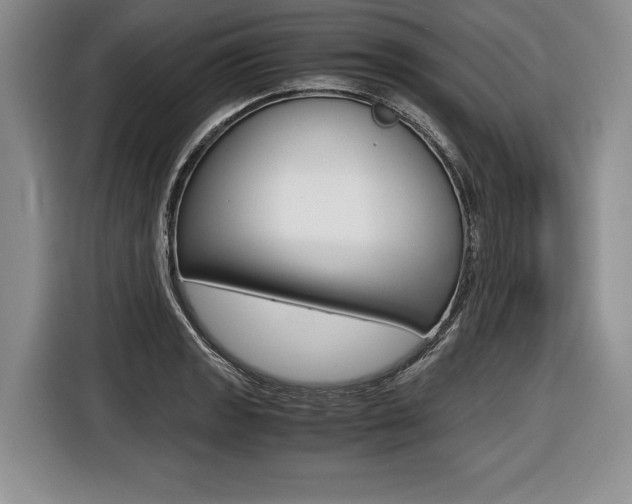 X0000116441133200912081347