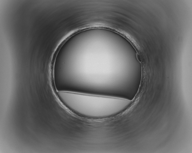 X0000116441134200912081347