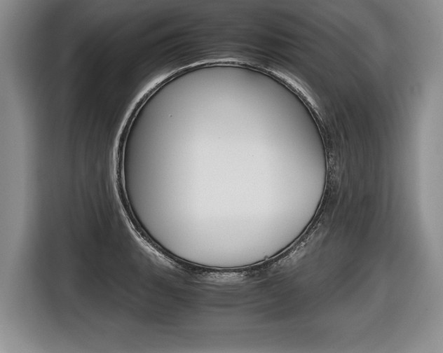 X0000116441135200912081347