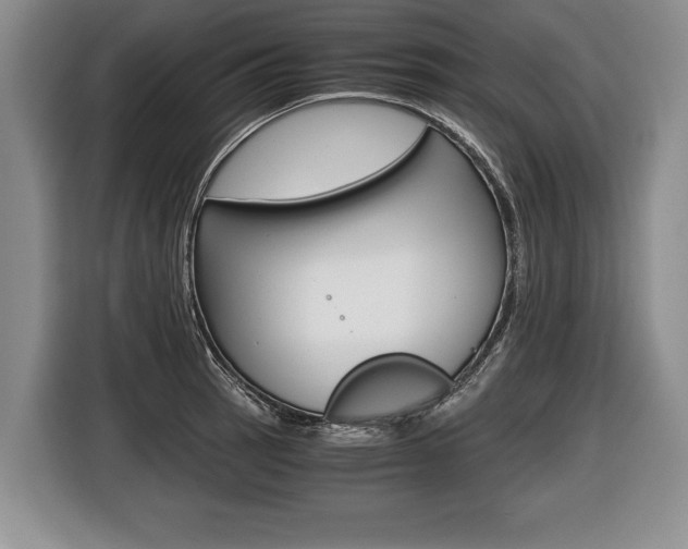 X0000116441137200912081347