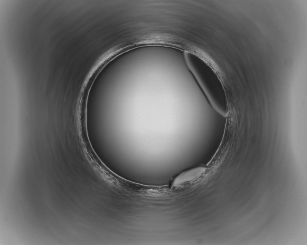 X0000116441138200912081347