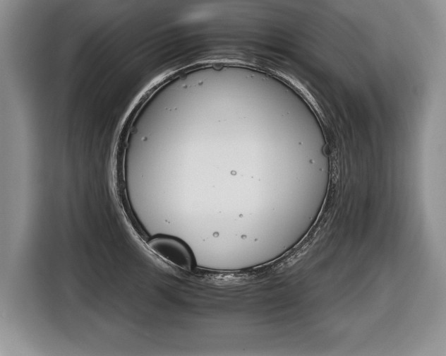 X0000116441139200912081347