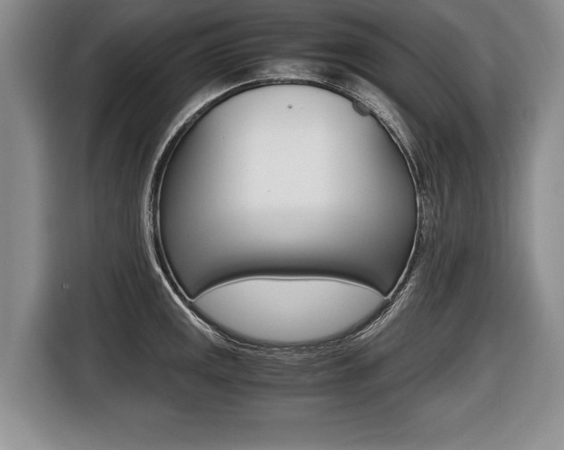 X0000116441141200912081347