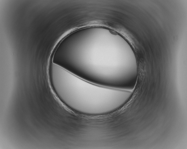 X0000116441142200912081347