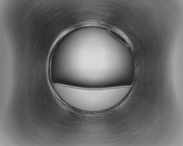 X0000116441146200912081347