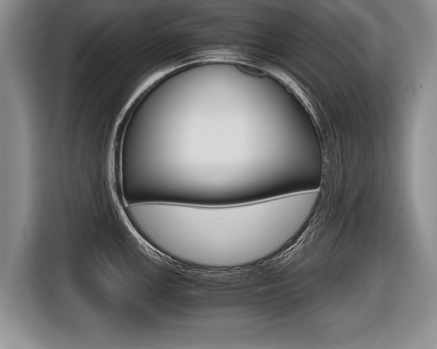 X0000116441147200912081347