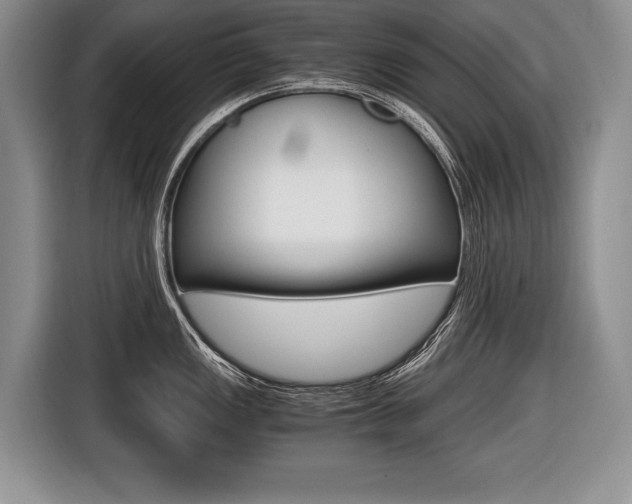 X0000116441149200912081348