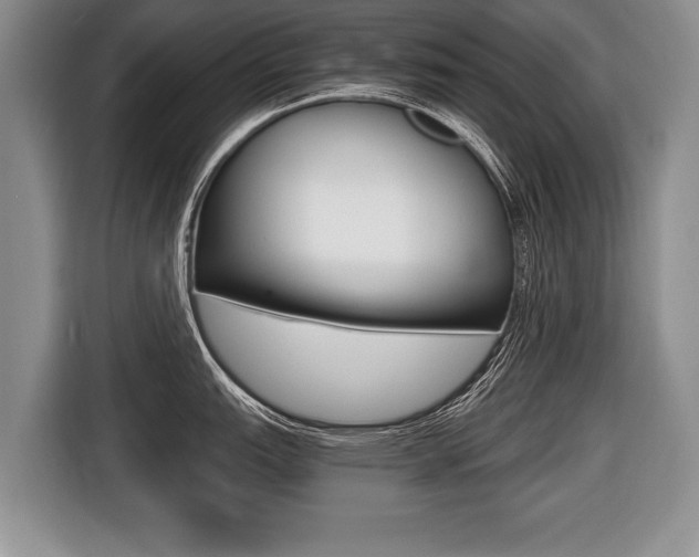 X0000116441151200912081348
