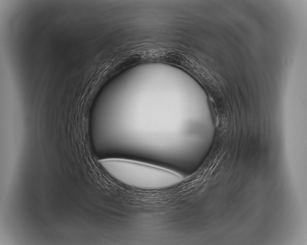 X0000116441153200912081347
