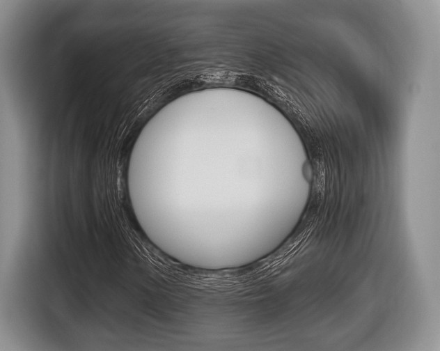 X0000116441154200912081347