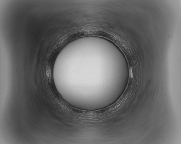 X0000116441155200912081347