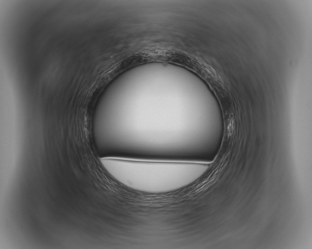 X0000116441156200912081347