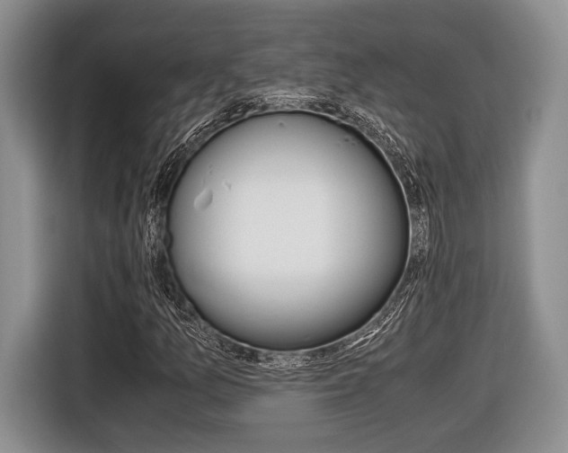 X0000116441157200912081347