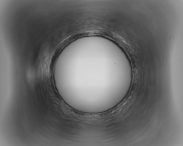 X0000116441158200912081347