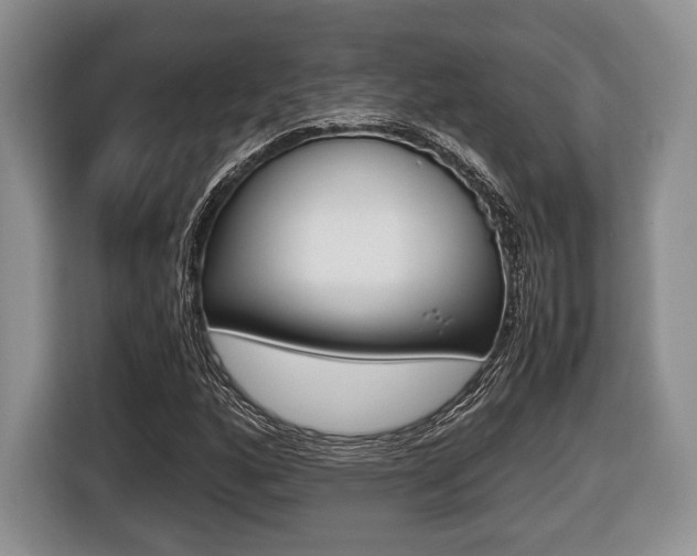 X0000116441160200912081347