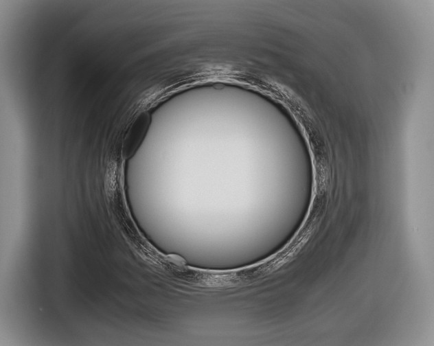 X0000116441161200912081347