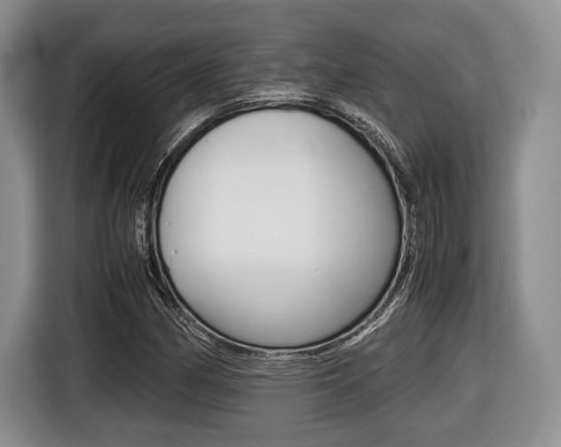 X0000116441162200912081347