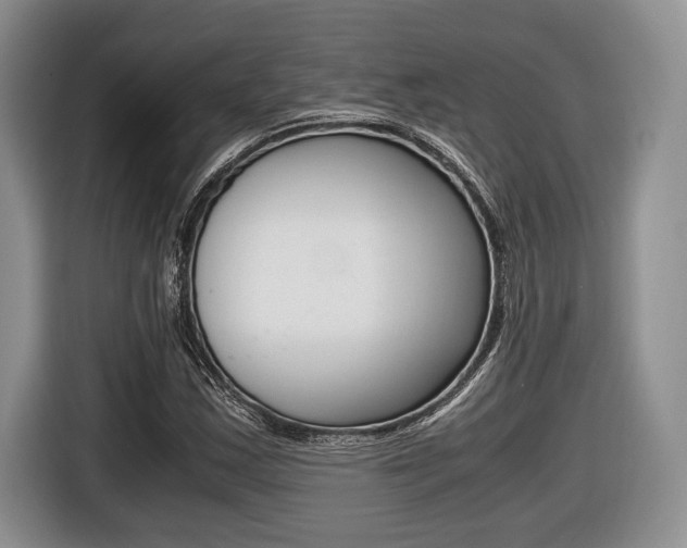X0000116441163200912081347