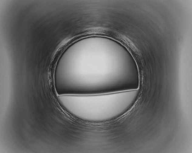 X0000116441164200912081347