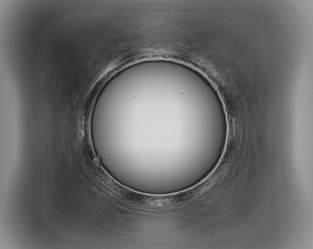 X0000116441165200912081347