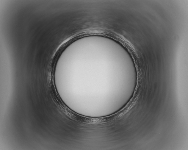 X0000116441166200912081347