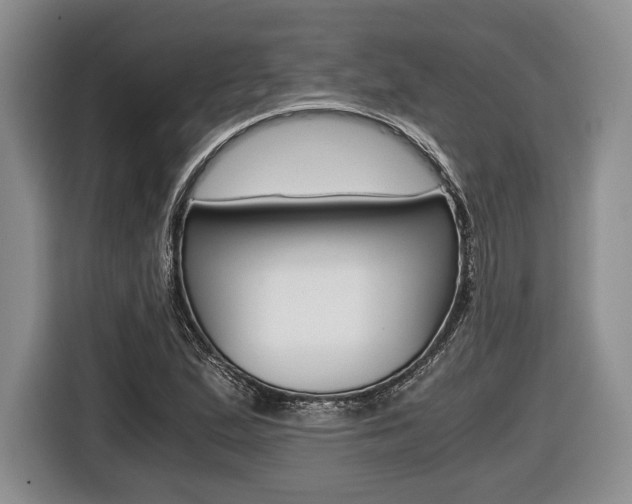 X0000116441167200912081347
