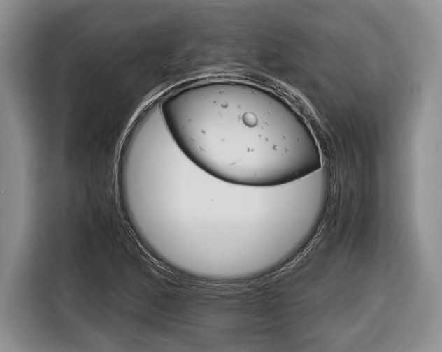 X0000116441168200912081347