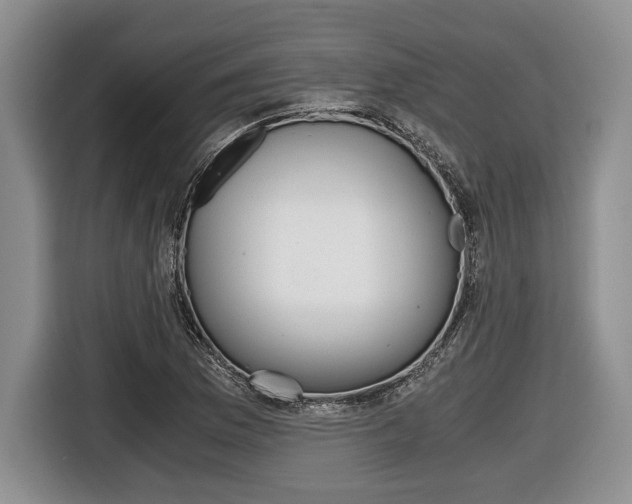 X0000116441169200912081347