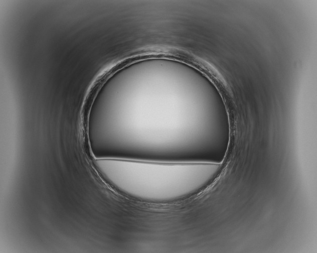 X0000116441172200912081347