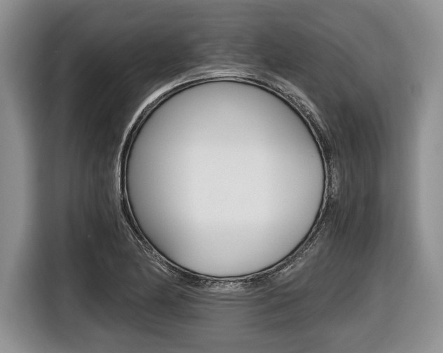 X0000116441174200912081347