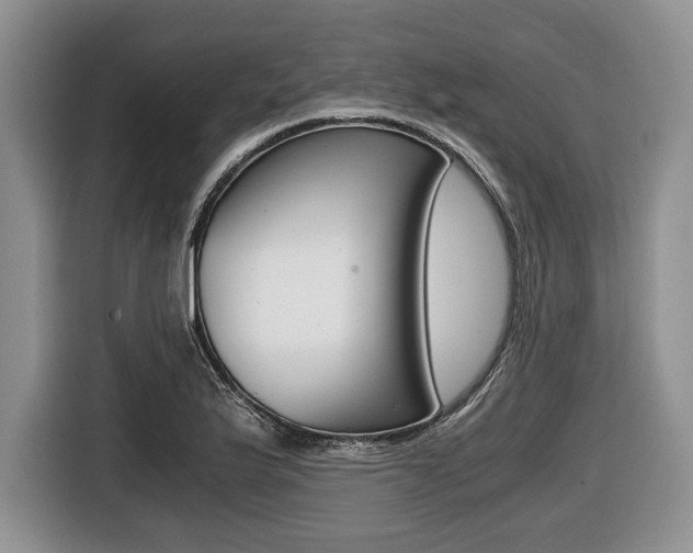 X0000116441175200912081347