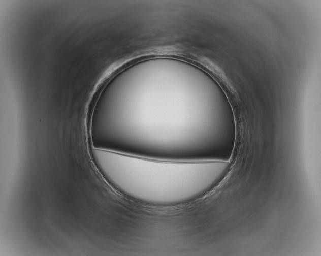 X0000116441176200912081347