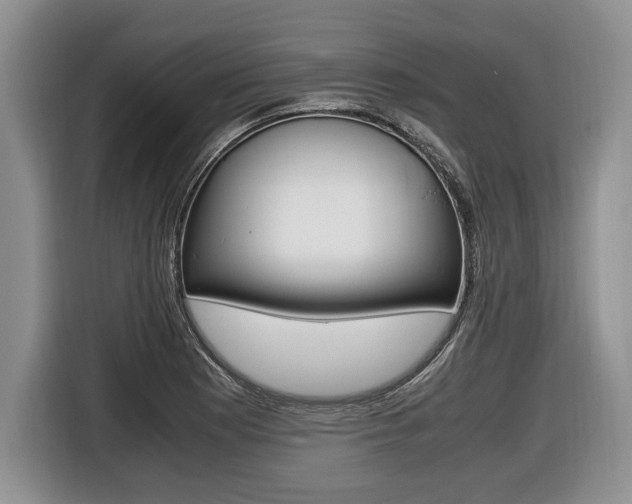 X0000116441177200912081347