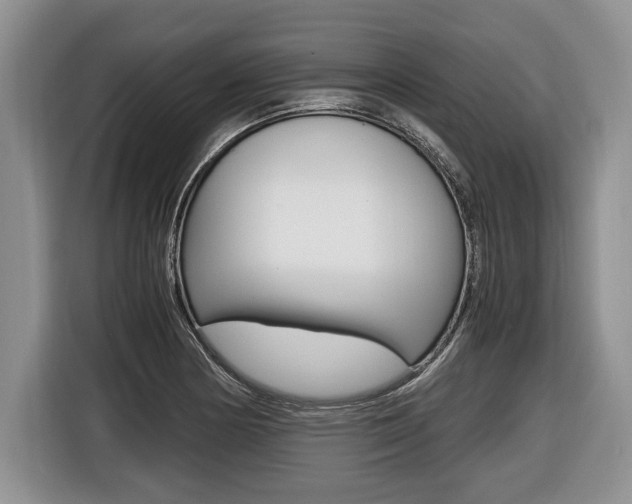 X0000116441178200912081347