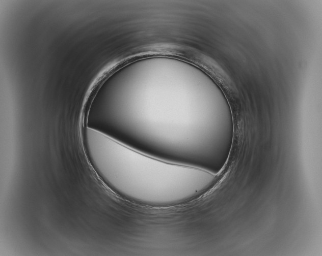 X0000116441180200912081347