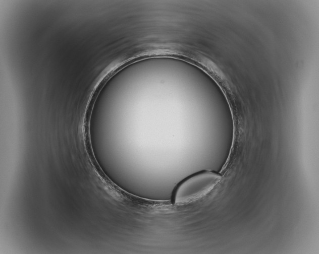 X0000116441181200912081347