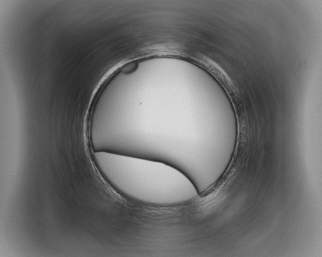 X0000116441182200912081347