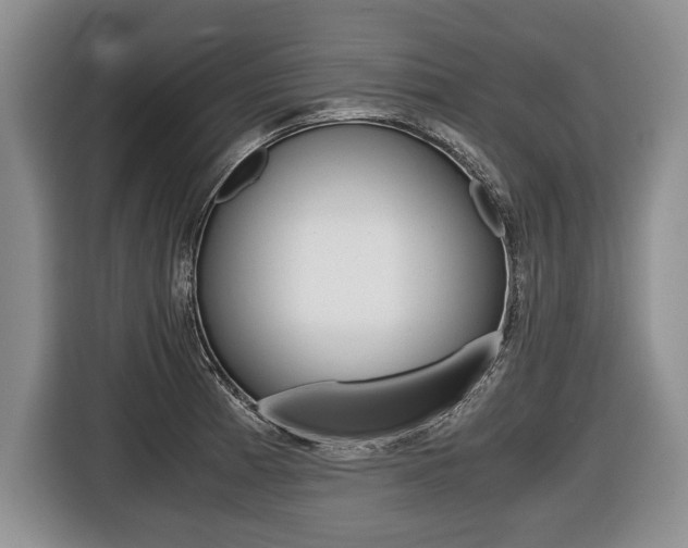 X0000116441185200912081347