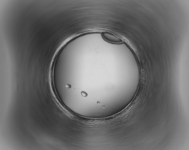 X0000116441187200912081346