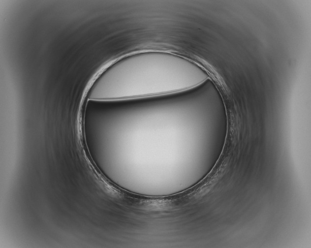 X0000116441188200912081346