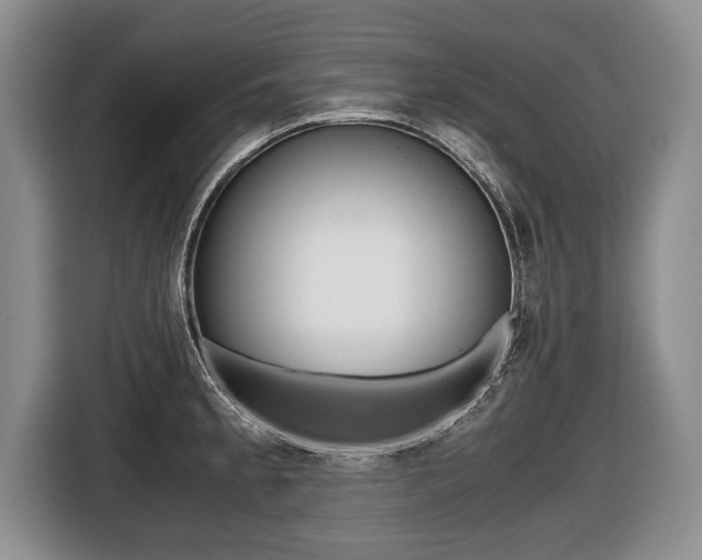 X0000116441189200912081346