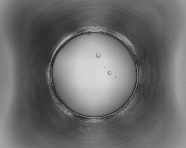 X0000116441190200912081346